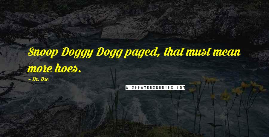 Dr. Dre Quotes: Snoop Doggy Dogg paged, that must mean more hoes.