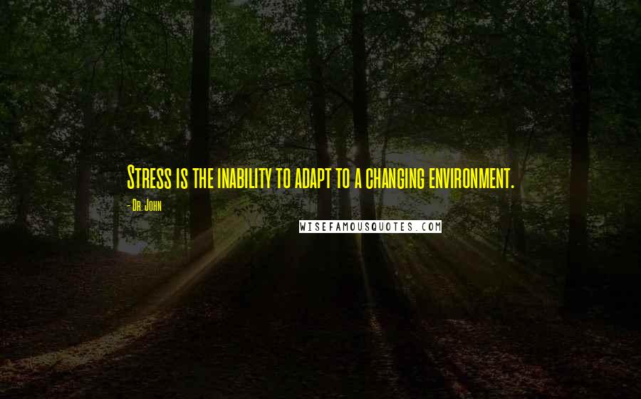 Dr. John Quotes: Stress is the inability to adapt to a changing environment.