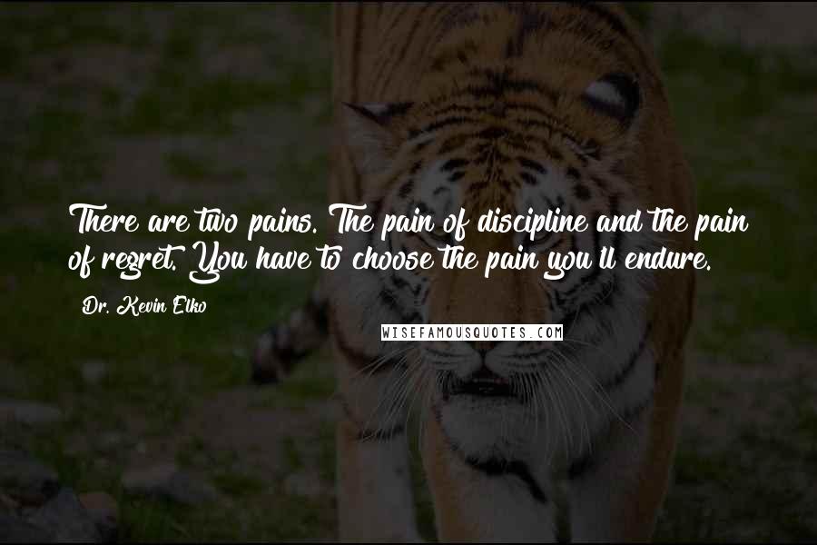 Dr. Kevin Elko Quotes: There are two pains. The pain of discipline and the pain of regret. You have to choose the pain you'll endure.