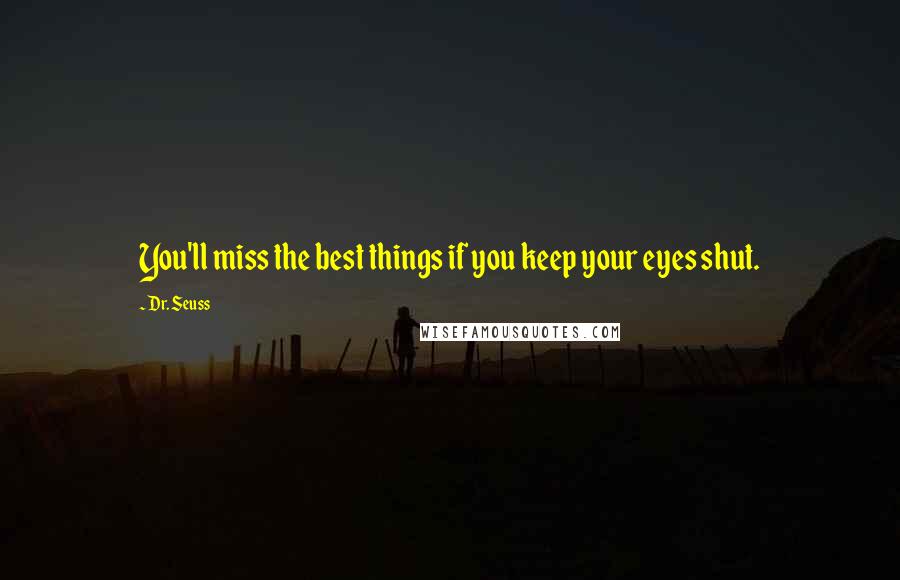 Dr. Seuss Quotes: You'll miss the best things if you keep your eyes shut.