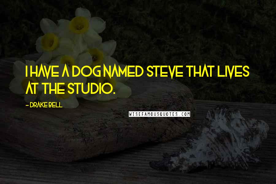 Drake Bell Quotes: I have a dog named Steve that lives at the studio.