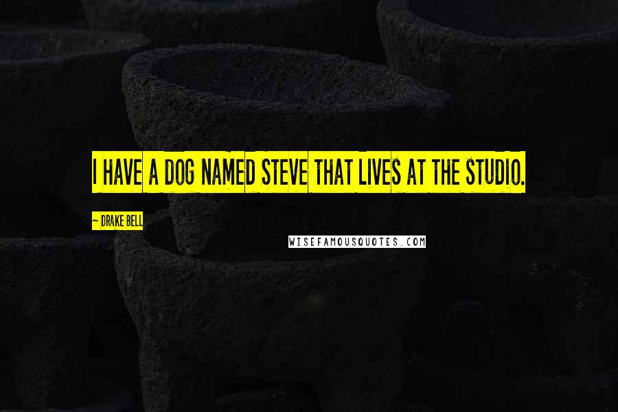 Drake Bell Quotes: I have a dog named Steve that lives at the studio.