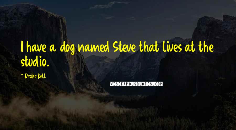 Drake Bell Quotes: I have a dog named Steve that lives at the studio.