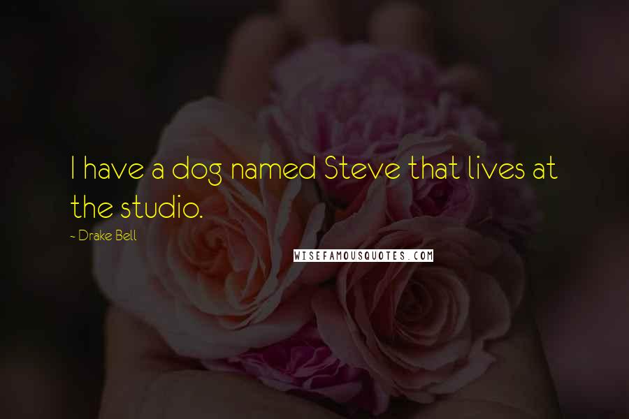 Drake Bell Quotes: I have a dog named Steve that lives at the studio.