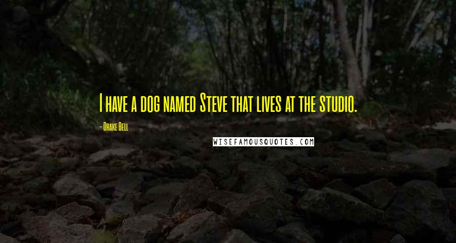 Drake Bell Quotes: I have a dog named Steve that lives at the studio.