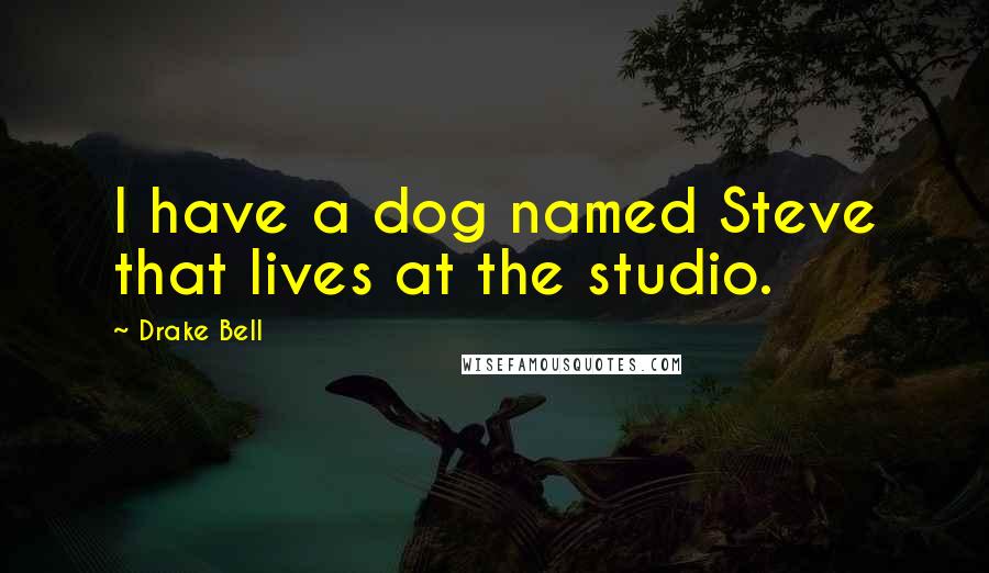 Drake Bell Quotes: I have a dog named Steve that lives at the studio.