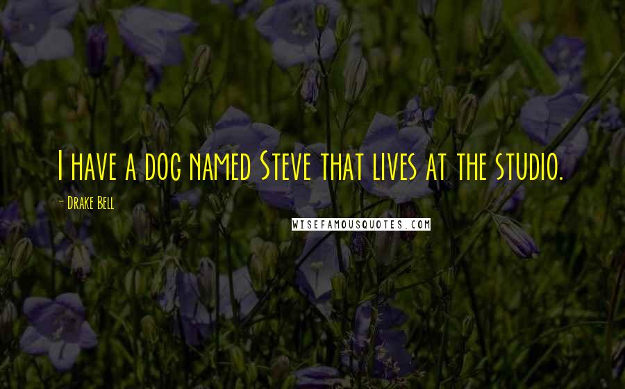 Drake Bell Quotes: I have a dog named Steve that lives at the studio.