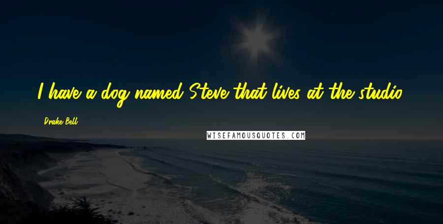 Drake Bell Quotes: I have a dog named Steve that lives at the studio.