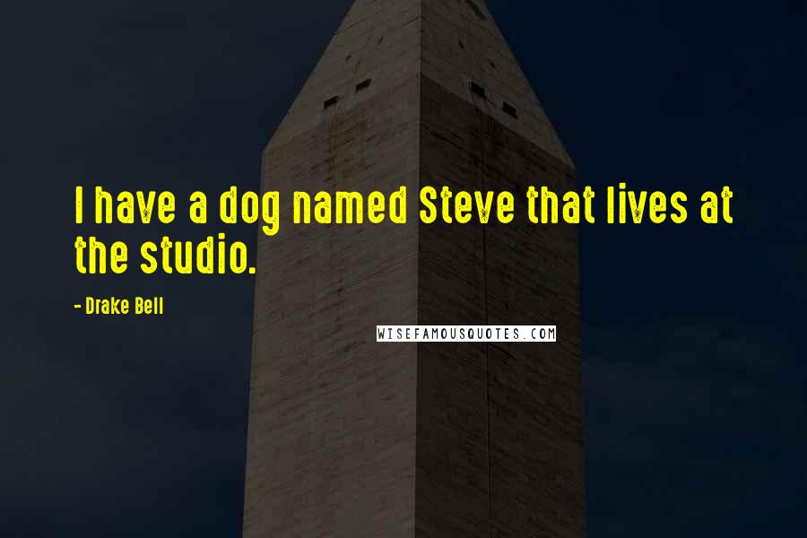 Drake Bell Quotes: I have a dog named Steve that lives at the studio.