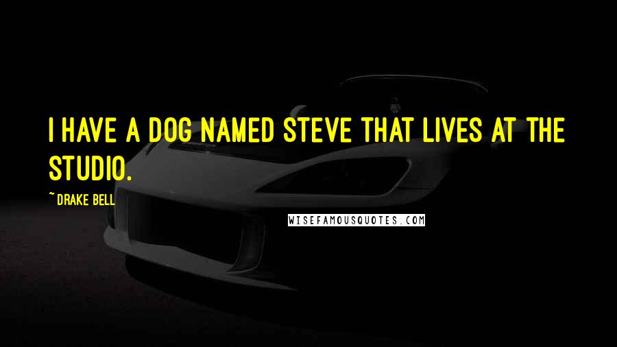 Drake Bell Quotes: I have a dog named Steve that lives at the studio.