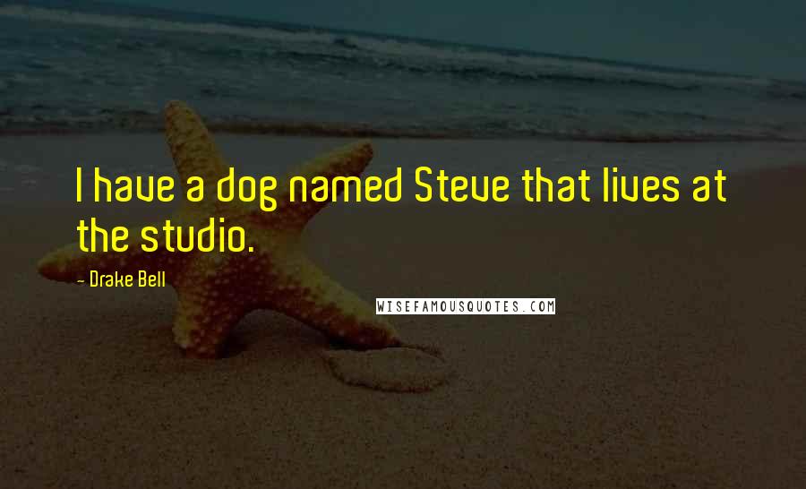 Drake Bell Quotes: I have a dog named Steve that lives at the studio.