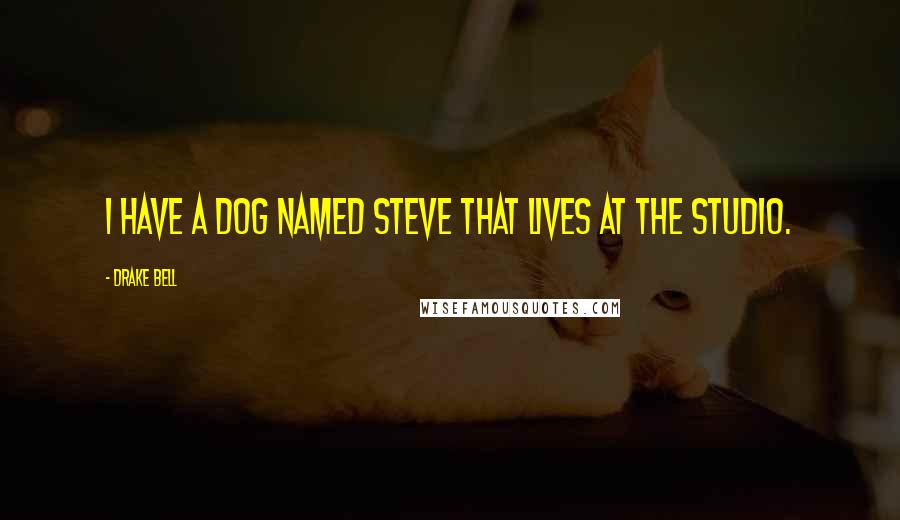 Drake Bell Quotes: I have a dog named Steve that lives at the studio.