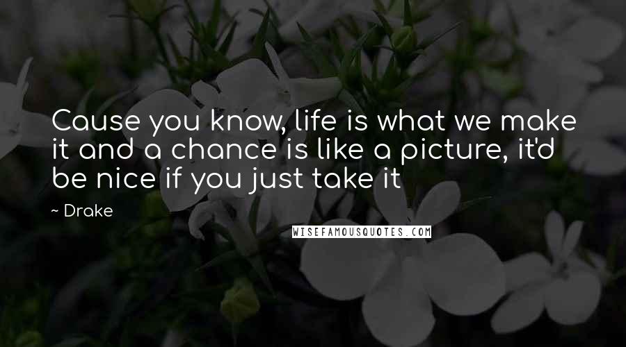 Drake Quotes: Cause you know, life is what we make it and a chance is like a picture, it'd be nice if you just take it