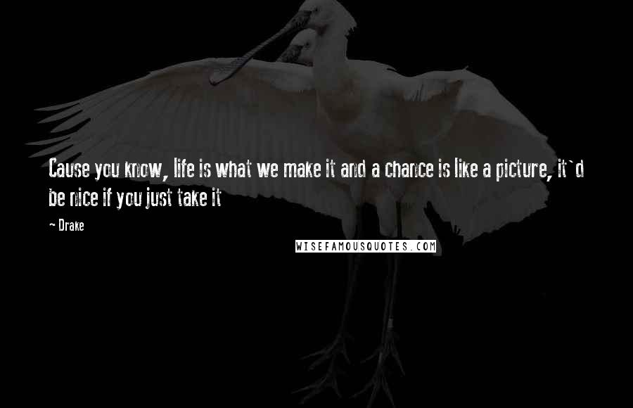 Drake Quotes: Cause you know, life is what we make it and a chance is like a picture, it'd be nice if you just take it