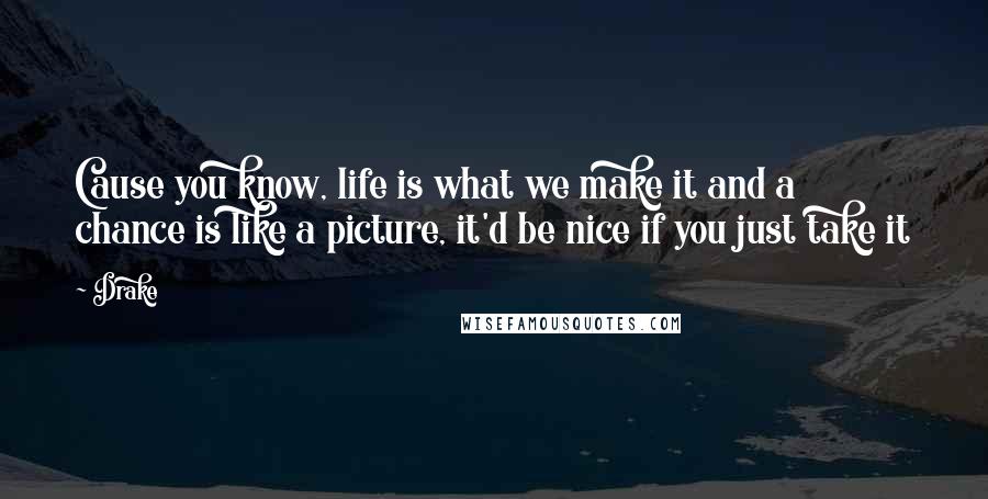 Drake Quotes: Cause you know, life is what we make it and a chance is like a picture, it'd be nice if you just take it