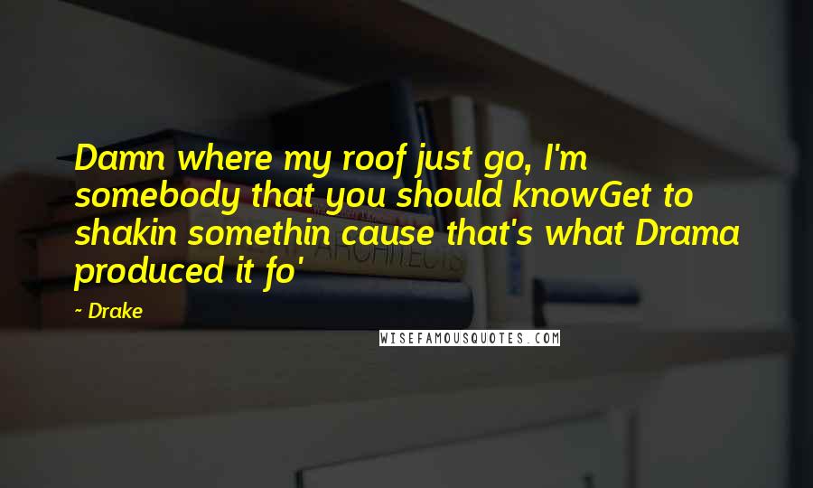 Drake Quotes: Damn where my roof just go, I'm somebody that you should knowGet to shakin somethin cause that's what Drama produced it fo'