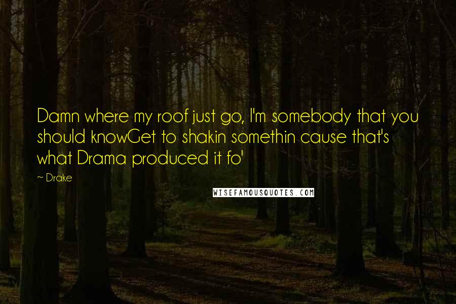 Drake Quotes: Damn where my roof just go, I'm somebody that you should knowGet to shakin somethin cause that's what Drama produced it fo'