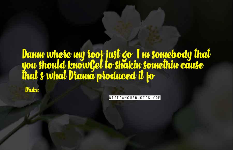 Drake Quotes: Damn where my roof just go, I'm somebody that you should knowGet to shakin somethin cause that's what Drama produced it fo'