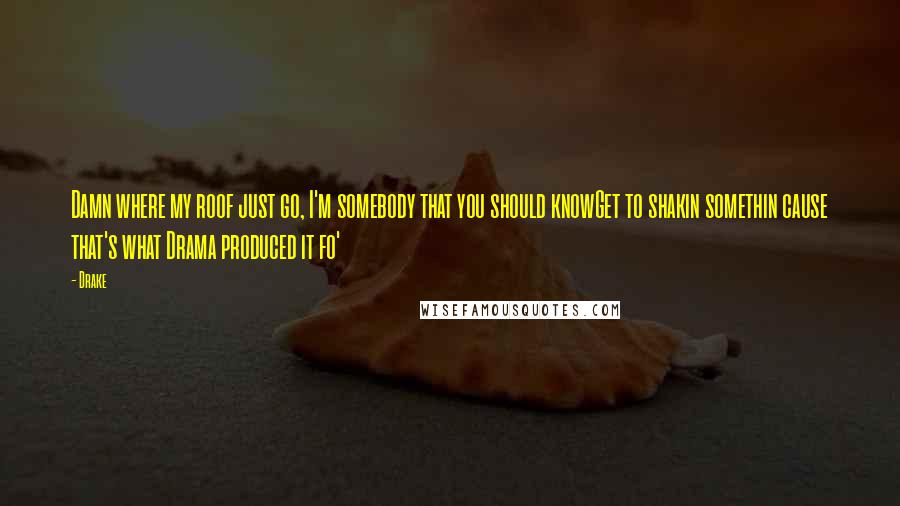 Drake Quotes: Damn where my roof just go, I'm somebody that you should knowGet to shakin somethin cause that's what Drama produced it fo'