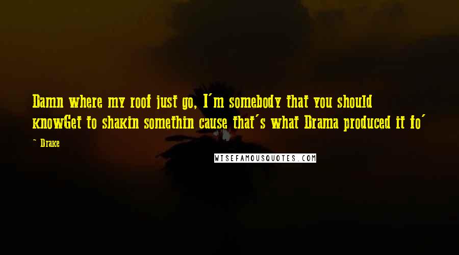 Drake Quotes: Damn where my roof just go, I'm somebody that you should knowGet to shakin somethin cause that's what Drama produced it fo'