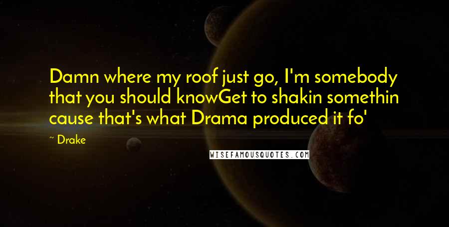 Drake Quotes: Damn where my roof just go, I'm somebody that you should knowGet to shakin somethin cause that's what Drama produced it fo'