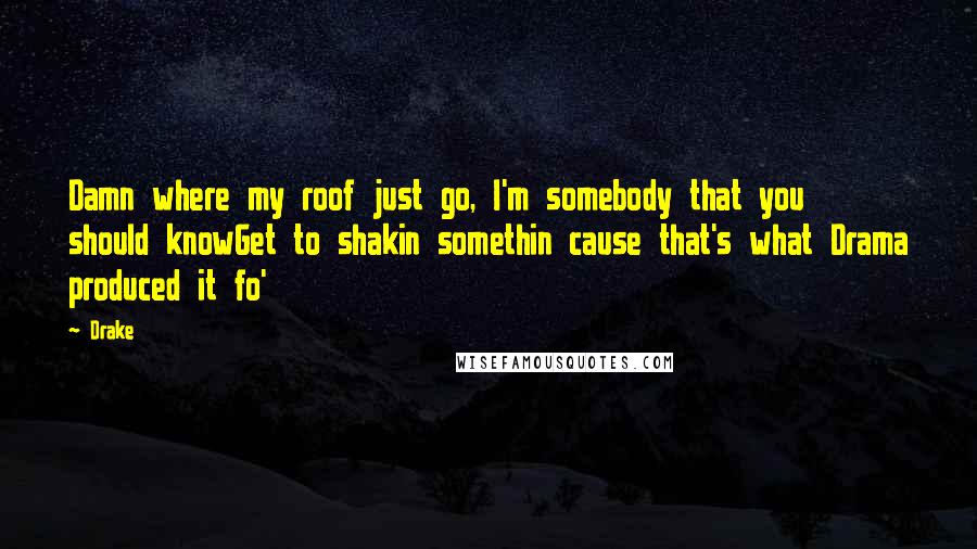 Drake Quotes: Damn where my roof just go, I'm somebody that you should knowGet to shakin somethin cause that's what Drama produced it fo'