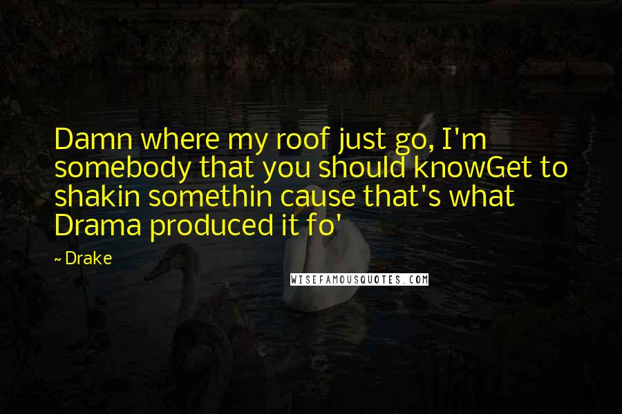 Drake Quotes: Damn where my roof just go, I'm somebody that you should knowGet to shakin somethin cause that's what Drama produced it fo'