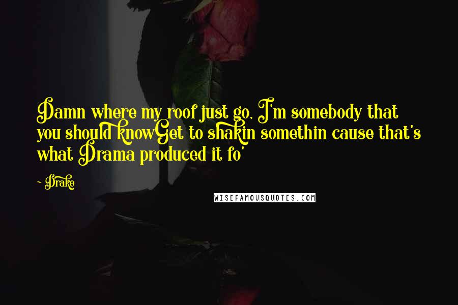 Drake Quotes: Damn where my roof just go, I'm somebody that you should knowGet to shakin somethin cause that's what Drama produced it fo'
