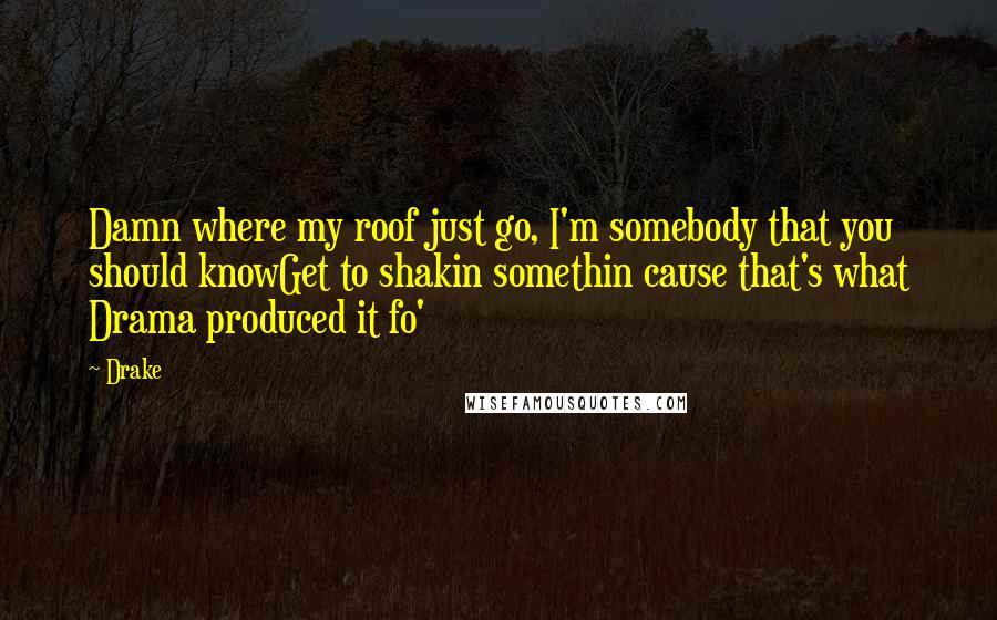 Drake Quotes: Damn where my roof just go, I'm somebody that you should knowGet to shakin somethin cause that's what Drama produced it fo'