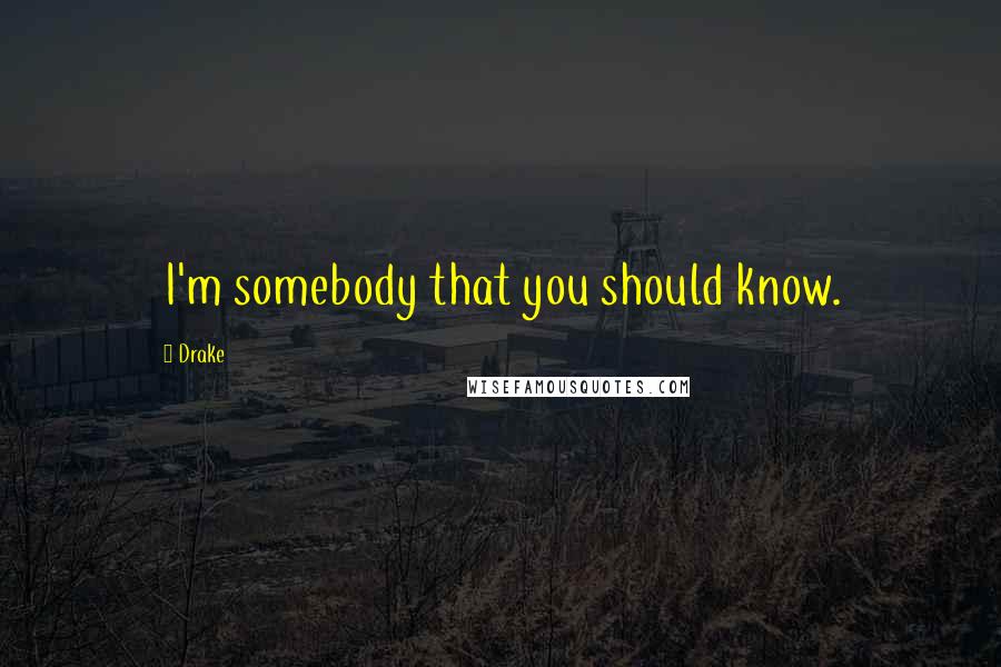 Drake Quotes: I'm somebody that you should know.