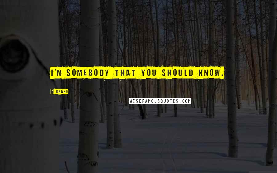 Drake Quotes: I'm somebody that you should know.