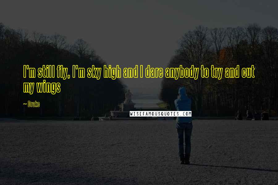 Drake Quotes: I'm still fly, I'm sky high and I dare anybody to try and cut my wings