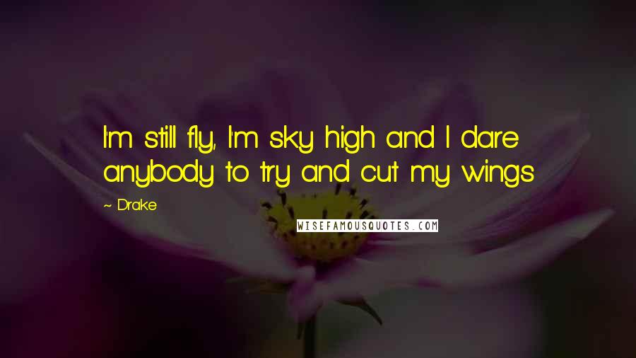 Drake Quotes: I'm still fly, I'm sky high and I dare anybody to try and cut my wings