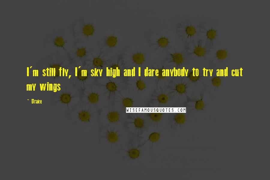 Drake Quotes: I'm still fly, I'm sky high and I dare anybody to try and cut my wings