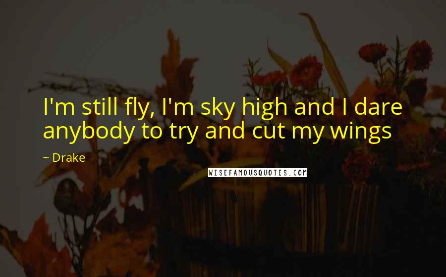 Drake Quotes: I'm still fly, I'm sky high and I dare anybody to try and cut my wings