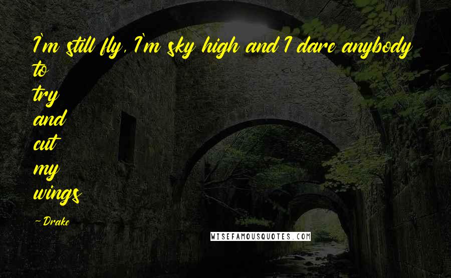 Drake Quotes: I'm still fly, I'm sky high and I dare anybody to try and cut my wings