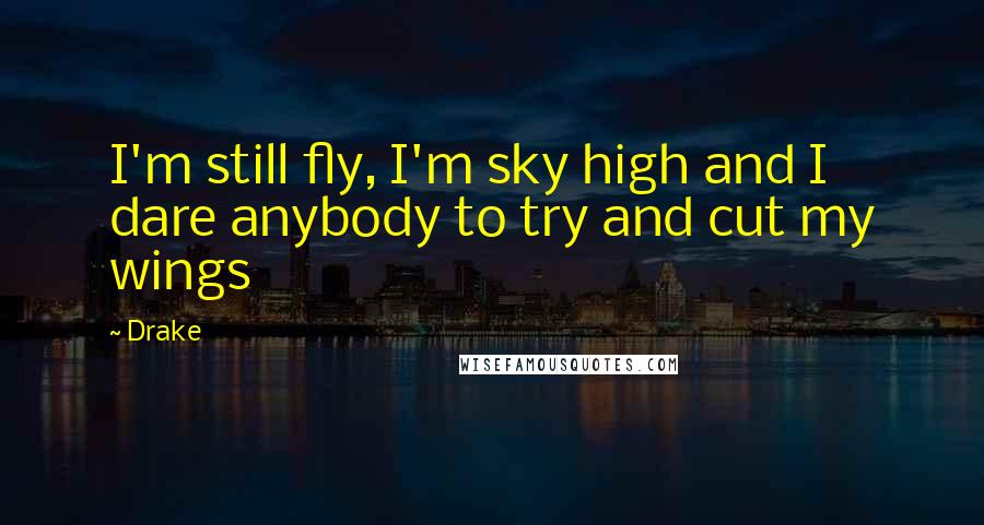 Drake Quotes: I'm still fly, I'm sky high and I dare anybody to try and cut my wings