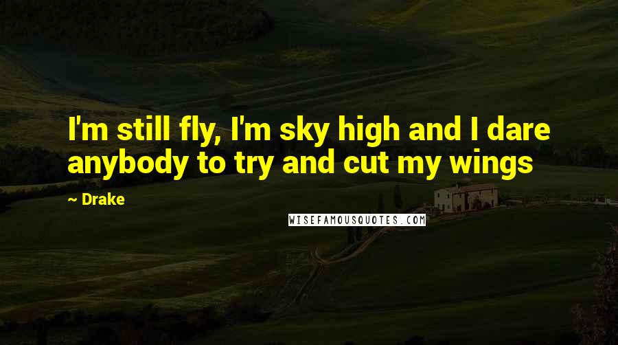 Drake Quotes: I'm still fly, I'm sky high and I dare anybody to try and cut my wings