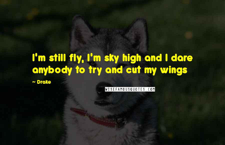 Drake Quotes: I'm still fly, I'm sky high and I dare anybody to try and cut my wings