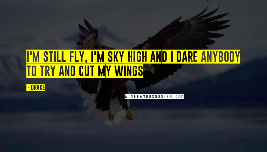 Drake Quotes: I'm still fly, I'm sky high and I dare anybody to try and cut my wings
