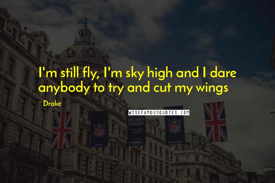 Drake Quotes: I'm still fly, I'm sky high and I dare anybody to try and cut my wings