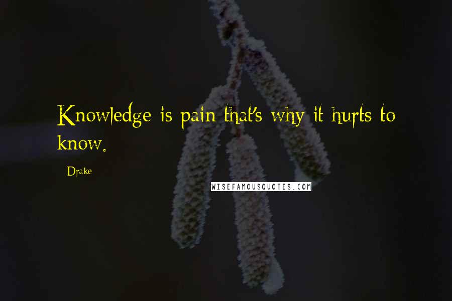 Drake Quotes: Knowledge is pain that's why it hurts to know.