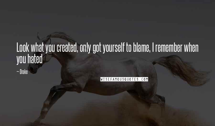 Drake Quotes: Look what you created, only got yourself to blame, I remember when you hated