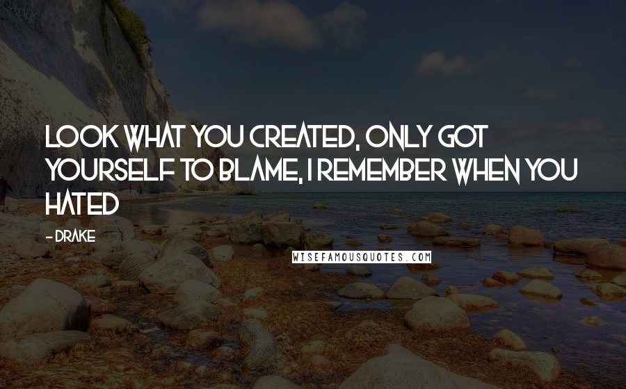 Drake Quotes: Look what you created, only got yourself to blame, I remember when you hated