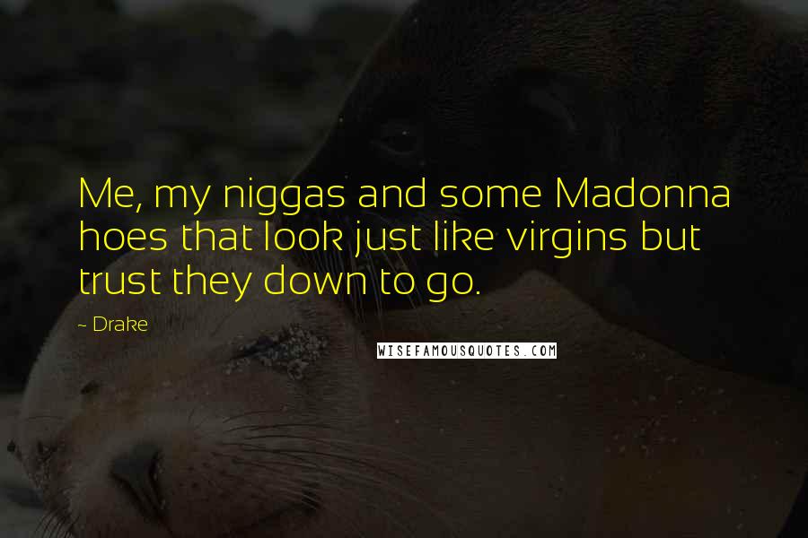 Drake Quotes: Me, my niggas and some Madonna hoes that look just like virgins but trust they down to go.