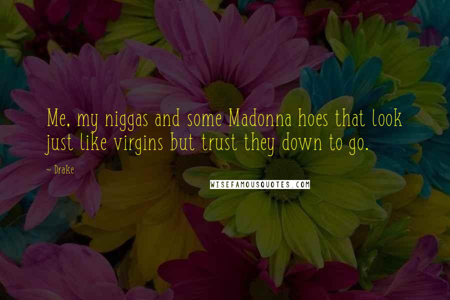 Drake Quotes: Me, my niggas and some Madonna hoes that look just like virgins but trust they down to go.