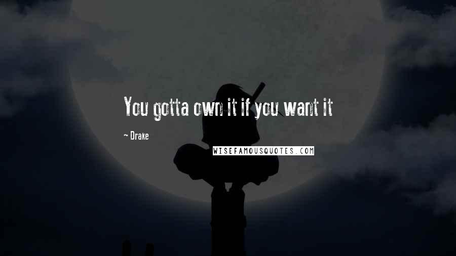 Drake Quotes: You gotta own it if you want it