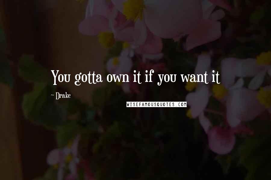 Drake Quotes: You gotta own it if you want it