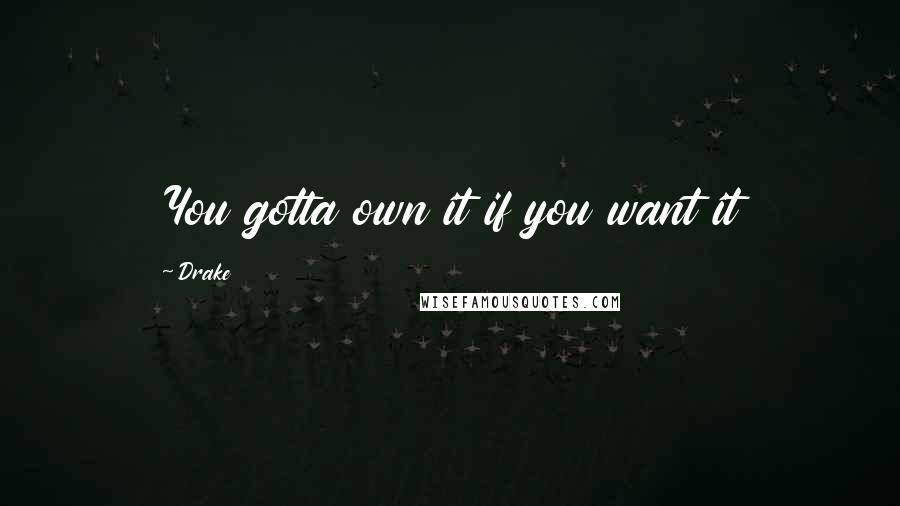 Drake Quotes: You gotta own it if you want it