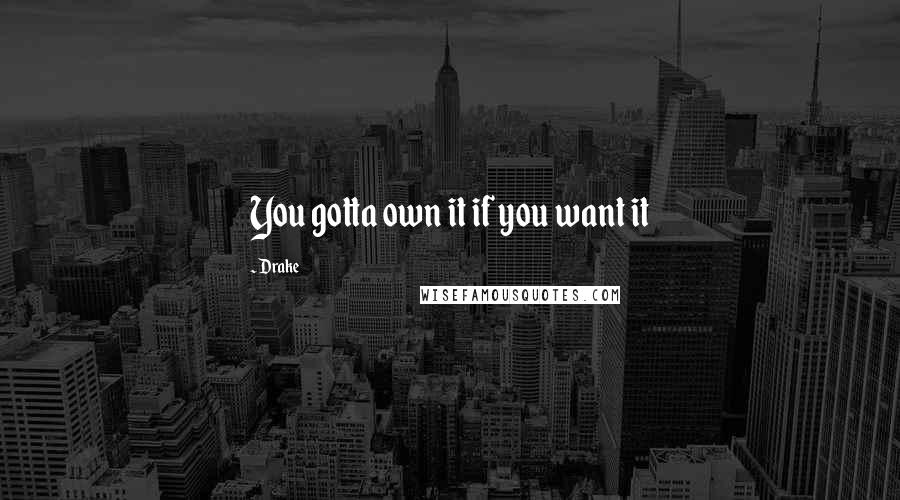 Drake Quotes: You gotta own it if you want it